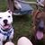 Gina Huffman's profile image