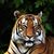 Sherri M.'s profile image