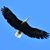 Mark Mustoe's profile image