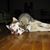 Connie Gunther's profile image