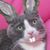 Thumpurr Qualls's profile image