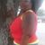 Rahshe Goingfamine Johnson's profile image