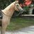 Margaret Anne Schnyer's profile image