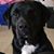 Sally K. Blacksnake's profile image