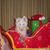 Debbie Woosley's profile image