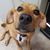 Karissa Wunsch's profile image