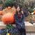 Elisabeth Zarnoti's profile image