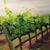 Robin M. Fourie's profile image