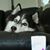 Beverly Celia Tavares's profile image