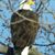 Cindy Ropp-Handley's profile image