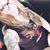 Valencia Apolinar's profile image
