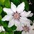 Tina Smith Clark's profile image