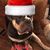 Sue Robert Chilcott's profile image