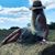 Vaida Doniela's profile image