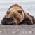 Cathy N Tom Dimon's profile image