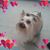 Belinda Gurganus Mann's profile image