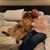 Sean Winkler's profile image