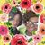 Stefany Politte's profile image