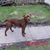 TattooScott Kistler's profile image