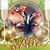 Jennifer Rochelle Jones's profile image