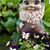 Kellie Rowley's profile image