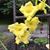 Ellen Hensler Brion's profile image