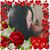 Jonathan Orellana's profile image