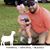 Justin Lane Rabun's profile image