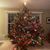 Lori Draheim Stahlman's profile image