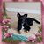 Dawn Hickonbottom's profile image
