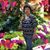 Betty B. Masacayan's profile image