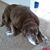 Lisa Timm's profile image