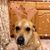 Angi Haigh's profile image