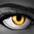 Julie Antonovich Reece's profile image