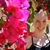 Iyla Ollinger's profile image