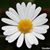 Mary Malone's profile image