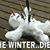 Fabien Bernhard's profile image
