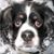 Tanya Rivera's profile image