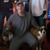 Garrett Wilkins's profile image