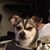 Karen Bidoul's profile image