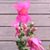 Terri Foster Sutton's profile image