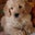 Titi Tran's profile image