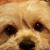 Bonnie Driggers's profile image