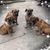 LuAnn Beatty Kurtz's profile image