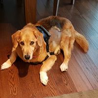 Beverly Camilleri's profile image