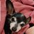 Pam Watson's profile image