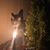 Kiel Scott's profile image