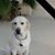 Brenda Groves Williams's profile image