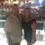 Mayle Mato Perez's profile image