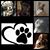 Celeste Grimes's profile image